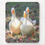 Quack attack mouse pads