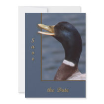 Quack up