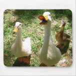 Quacking Ducks mousepads