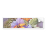 quadros recentes 006 bumper stickers