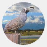 QUAIL AND MT SHASTA ROUND STICKERS
