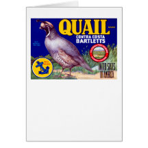 Quail Brand Contra Costa Bartletts Cards