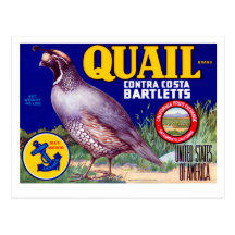 Quail Brand Contra Costa Bartletts Post Cards