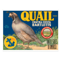 Quail Brand Contra Costa Bartletts Post Cards