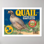 Quail Brand Contra Costa Bartletts Posters
