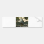 Quail Bumper Stickers