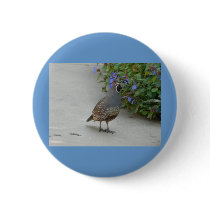 quail pin