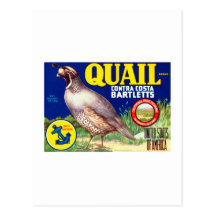 Quail Contra Costa Bartletts Post Cards