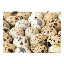Quail Eggs Custom Invitation