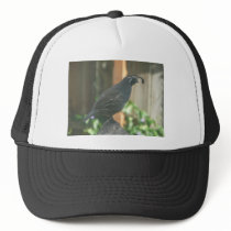 quail mesh hat