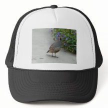 quail hat