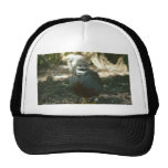 Quail Hat