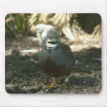 Quail Mouse Pad