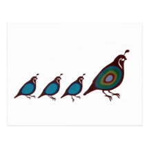 Quail Post Card