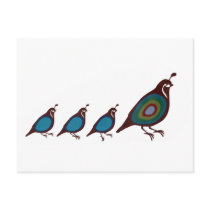 Quail