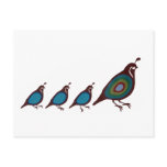 Quail postcards