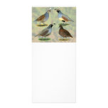 Quail Quartet rack cards