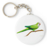 Quaker Monk Parakeet Keychain