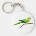 Quaker Monk Parakeet Keychain