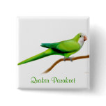 Quaker Monk Parakeet Pin buttons