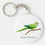 Quaker Parakeet Keychain