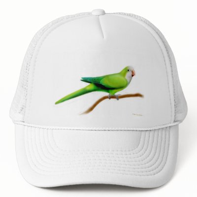 Quaker Parrot Hat by twopurringcats