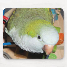 Quaker Parrot Mouse Pad