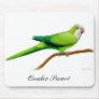 Quaker Parrot Mousepad