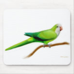 Quaker Parrot Mousepad