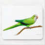 Quaker Parrot Mousepad