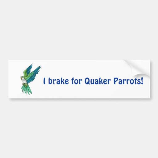 Quaker Parrot Products Bumper Sticker