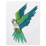 Quaker Parrot Products flyers
