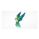 Quaker Parrot Products photo cards