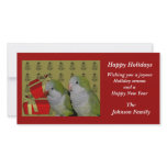 Quaker Parrots Animal Christmas Holiday Card Photo Cards