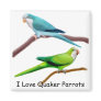 Quaker Parrots Magnet