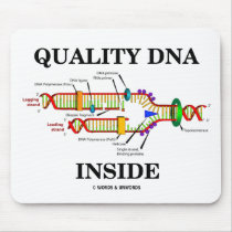 Quality DNA Inside (DNA Replication)