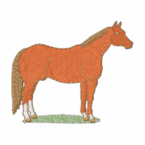Quarter Horse