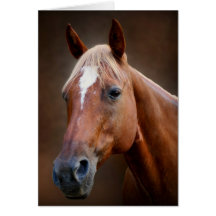 Quarter Horse Greeting Card