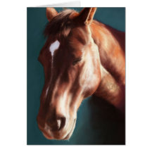 Quarter Horse Greeting Cards