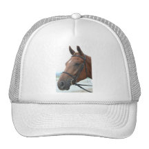 Quarter Horse Hat