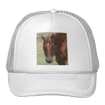 Quarter Horse Hat