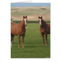 Quarter Horse Herd Greeting Card