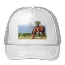 Quarter Horse Photo Baseball Hat