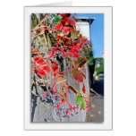 quartier Jules Ferry cards