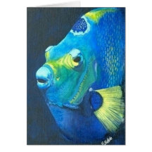 Queen Angel fish Card