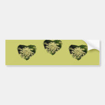 Queen Anne twilight Bumper Stickers