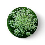 Queen Anne's Lace buttons
