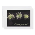 Queen Anne's Lace invitation