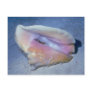 Queen conch (Strombus gigas) Shell Post Cards