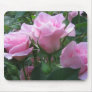 Queen Elizabeth Rose IMG_0869 Mouse Pads